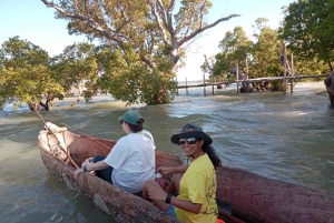Watamu: Sunset Mangrove Canoe Tour with Coconut Drink