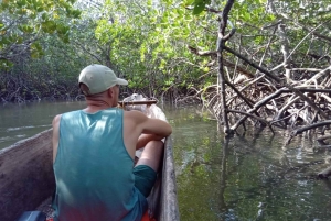 Watamu: Sunset Mangrove Canoe Tour with Coconut Drink