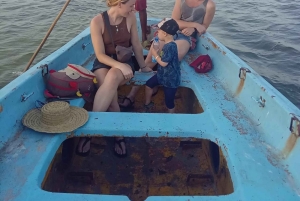 Watamu: Sunset Mangrove Canoe Tour with Coconut Drink