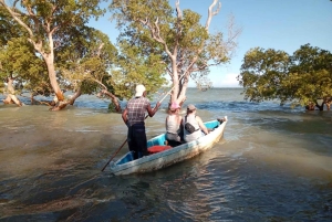 Watamu: Sunset Mangrove Canoe Tour with Coconut Drink