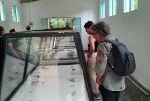 Watamu: tours and excursions