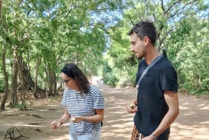 Watamu: tours and excursions