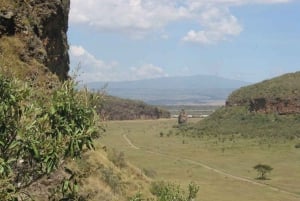 Wilde ontmoetingen: Avontuur in het Nationale Park Hell's Gate