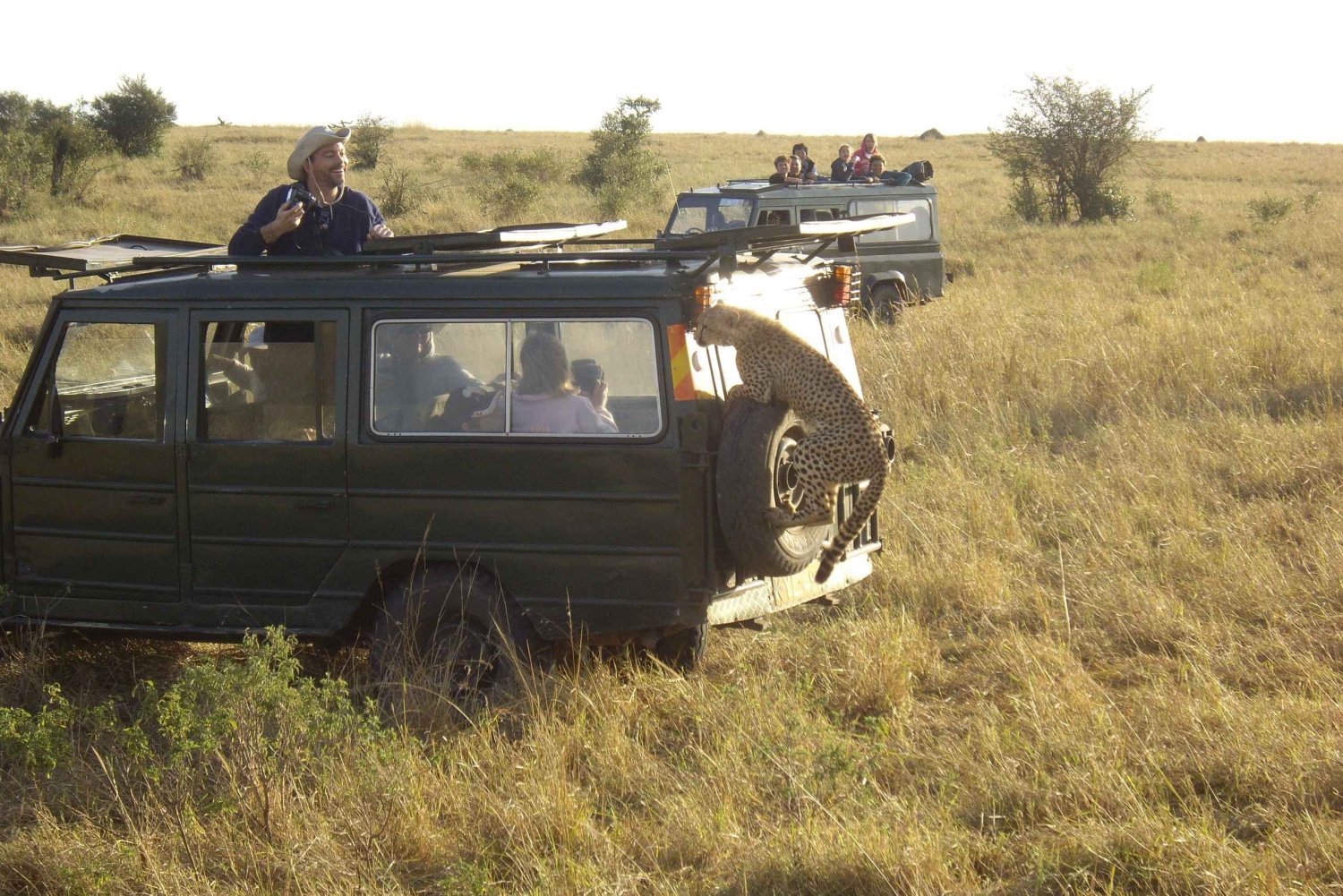 Wilde Kenia Safari Ontdek Amboseli, Tsavo West & East 4 dagen