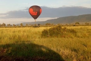 Wild Kenya Safari Explore Amboseli, Tsavo West & East 4 Days