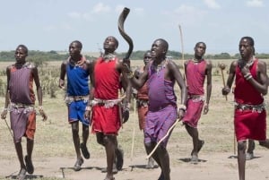 Wild Kenya Safari Explore Amboseli, Tsavo West & East 4 Days