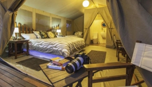Wildebeest Eco Camp
