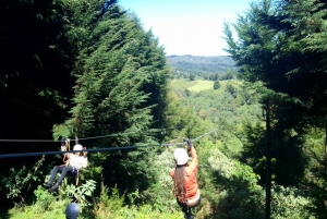 Depuis Nairobi : Safari aventure en zipline