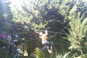 Depuis Nairobi : Safari aventure en zipline