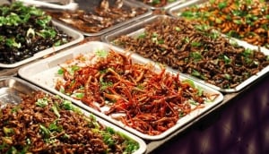 Are you ready to take the crunch?