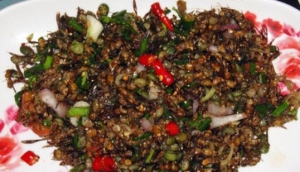 Mod Daeng (Red Ants)