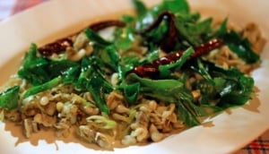 Kai Mod Daeng (Red Ant's Eggs)