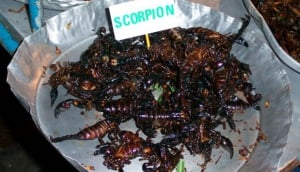 Maengpxng (Scorpions)