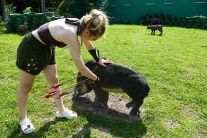 '3D-Challenge' Tiro con arco e balestra