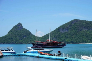Cruzeiro de dia inteiro em Ang Thong com pôr do sol no barco Red Baron