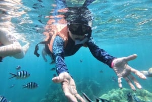 Cruzeiro de dia inteiro em Ang Thong com pôr do sol no barco Red Baron