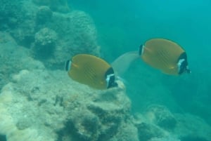 Cruzeiro de dia inteiro em Ang Thong com pôr do sol no barco Red Baron