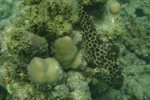 Cruzeiro de dia inteiro em Ang Thong com pôr do sol no barco Red Baron