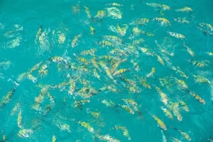 Cruzeiro de dia inteiro em Ang Thong com pôr do sol no barco Red Baron