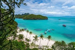 Ang Thong Full-Day Discovery Cruise from Koh Samui