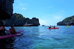 Ang Thong: Kajakken & snorkelen in het mariene park, hele dag