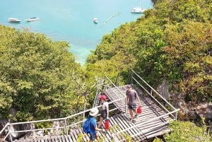 Angthong Marine Park Full-Day Big Boat Economy Tour