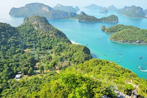 アーントーン海洋公園 1 日大型ボートエコノミーツアー