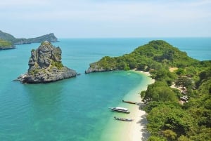 アーントーン海洋公園 1 日大型ボートエコノミーツアー