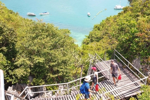 アーントーン海洋公園 1 日大型ボートエコノミーツアー