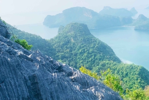 アーントーン海洋公園 1 日大型ボートエコノミーツアー