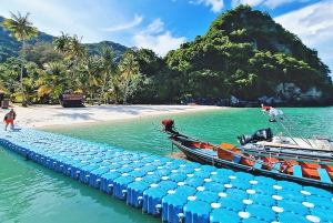 アーントーン海洋公園 1 日大型ボートエコノミーツアー