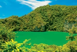 Angthong Marine Park: Dagstur med hurtigbåt og aktiviteter