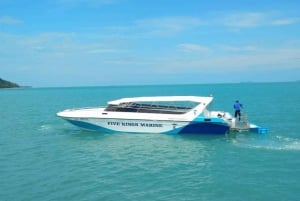 Ko Samui: Angthong National Marine Park med hurtigbåt