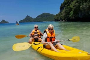 Ko Samui: Angthong National Marine Park med hurtigbåt