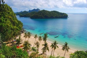 Ko Samui: Angthong National Marine Park med hurtigbåt