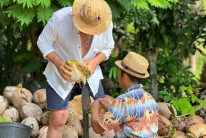 サムイ島：ユニークなイオカル ツアーと象保護区（昼食付き）