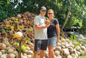 サムイ島：ユニークなイオカル ツアーと象保護区（昼食付き）