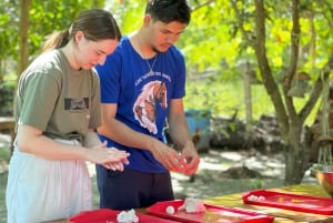 サムイ島：ユニークなイオカル ツアーと象保護区（昼食付き）