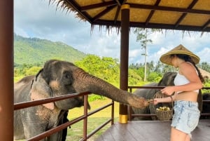 サムイ島：ユニークなイオカル ツアーと象保護区（昼食付き）