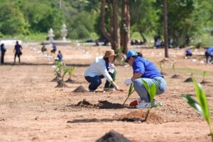 サムイ島：ユニークなイオカル ツアーと象保護区（昼食付き）