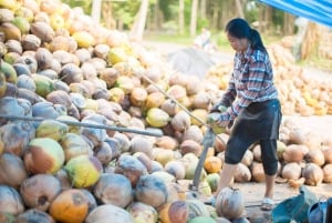 サムイ島：ユニークなイオカル ツアーと象保護区（昼食付き）