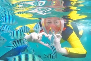 Excursión de un día para hacer snorkel en Koh Tao y Koh Nang Yuan