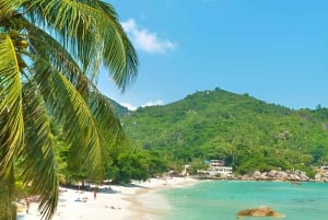 Primera excursión a la playa de Koh Samui - Todas las joyas ocultas