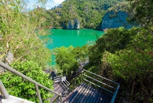 From Ko Pha Ngan: Angthong Marine Park Speedboat Adventure