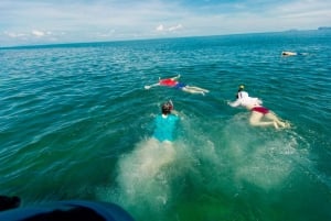 From Ko Pha Ngan: Angthong Marine Park Speedboat Adventure