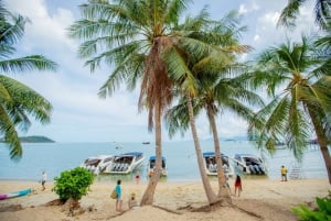 From Ko Pha Ngan: Angthong Marine Park Speedboat Adventure