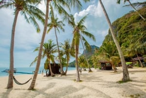 From Ko Pha Ngan: Angthong Marine Park Speedboat Adventure