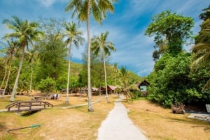 From Ko Pha Ngan: Angthong Marine Park Speedboat Adventure