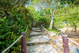 From Ko Pha Ngan: Angthong Marine Park Speedboat Adventure