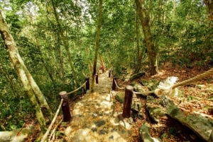 From Ko Pha Ngan: Angthong Marine Park Speedboat Adventure